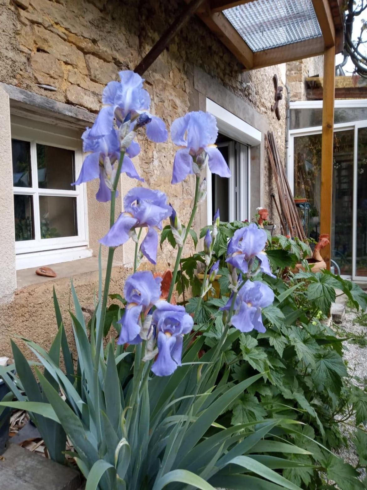 Gite Meuble 6 Personnes 2 Etoiles Haute Cote D'Or Proche Des Merveilles Touristiques Saint-Marc-sur-Seine エクステリア 写真