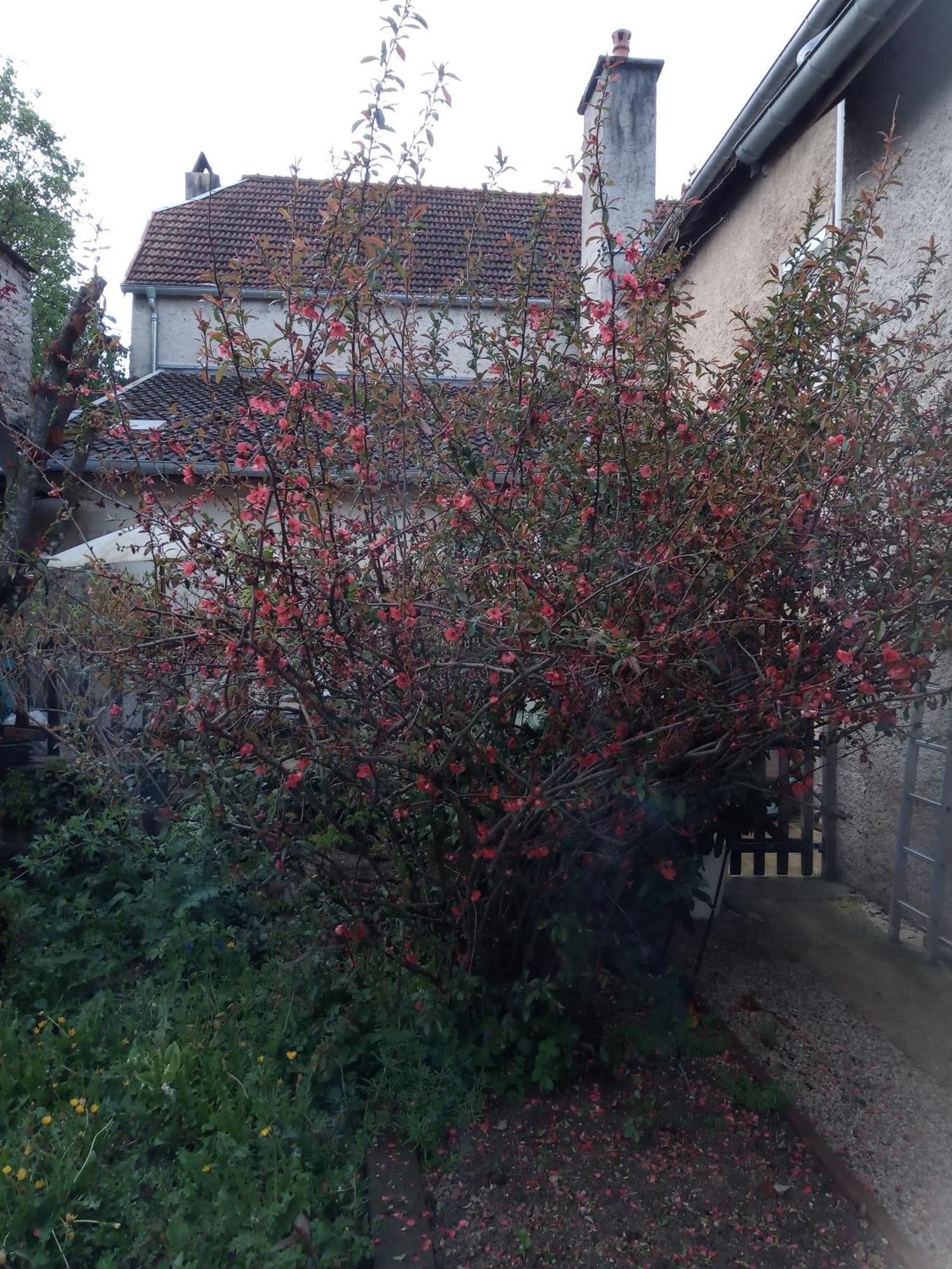 Gite Meuble 6 Personnes 2 Etoiles Haute Cote D'Or Proche Des Merveilles Touristiques Saint-Marc-sur-Seine エクステリア 写真